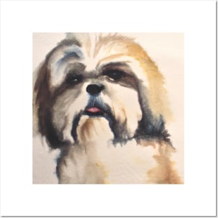 Shih Tzu Watercolor Painting - Dog Lover Gifts Posters and Art